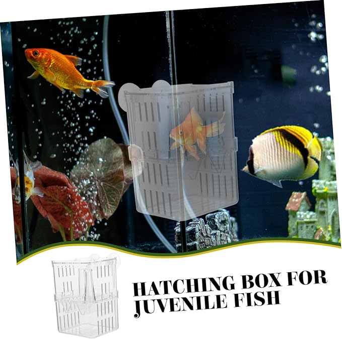 BESPORTBLE 4pcs Small Fish Tank Isolation Boxes for Guppy Breeding Aquarium Separation Container Suction Cups for Newborn Fish and Pregnant Care