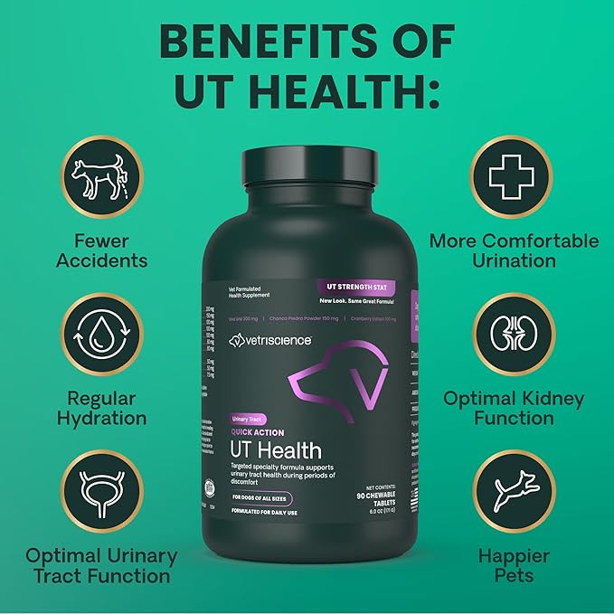 VetriScience Quick Action UT Health Chewable Tablets, UT Strength STAT Supplement for Dogs, Cranberry, Uva Ursi, and Chanca Piedra to Soothe Urinary Tract Discomfort, Smoke, 90 Count