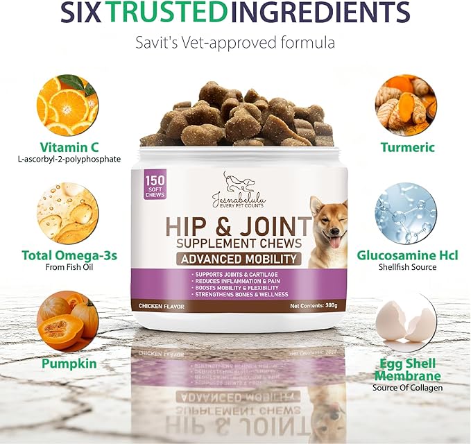 Dog Hip and Joint Supplement Chews - Dog Joint Supplement for Mobility - Canine Hip Support Pain Relief Supplements with Glucosamine, Turmeric, Chondroitin - Chicken Flavored - 150 Soft Chews