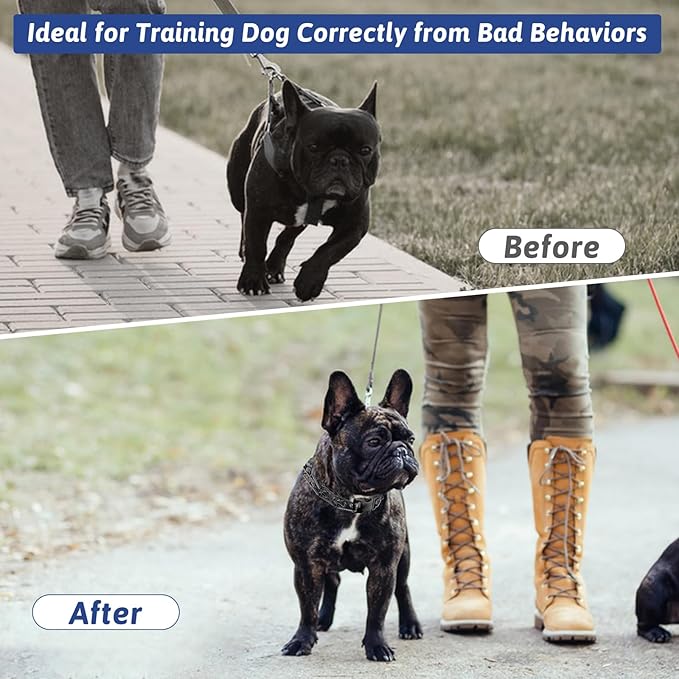 Pinch Collar for Dogs, Prong Training Collar with Quick Release Buckle for Dog Pulling Behavior Correction, Adjustable Pinch Leashes (Small / 12.5-18" Neck Size)