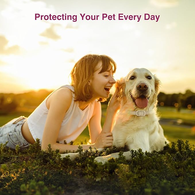 Natural Flea and Tick Collar for Dogs - 4 Pack, Waterproof, Adjustable Size for Small Medium and Large Dog