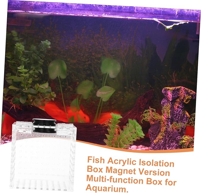 Mikikit 1pc Fish Isolation Box Acrylic Separation Case for Fish Tank and Aquarium Easy to Install Breeding Box for Fry and
