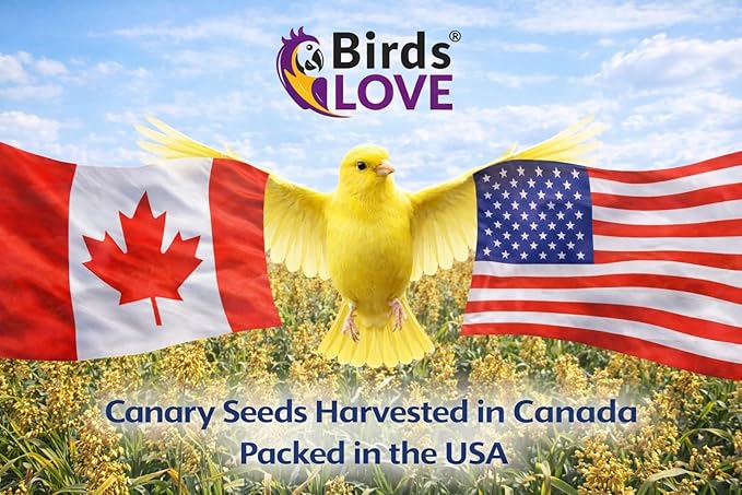 Birds Love Alpiste Canary Seed – 100% Pure, Non-GMO, Double Cleaned Food for Canaries, Finches, Budgies & Parakeets – No Additives, Bird Feed, 5 lbs