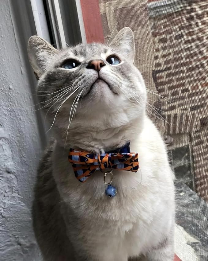 Blueberry Pet Timeless Navy Blue Cat Collar with Bells, Chic Fish Print, Handmade Bow Tie, Christmas Cat Collar, Adjustable 9"-13", Eco-Friendly, PRECIOSA Crystal, Gift for Cat Lovers