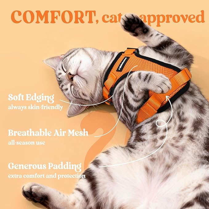 rabbitgoo Cat Harness and Leash for Walking, Escape Proof Soft Adjustable Vest Harnesses for Cats, Easy Control Breathable Reflective Strips Jacket, Orange, S