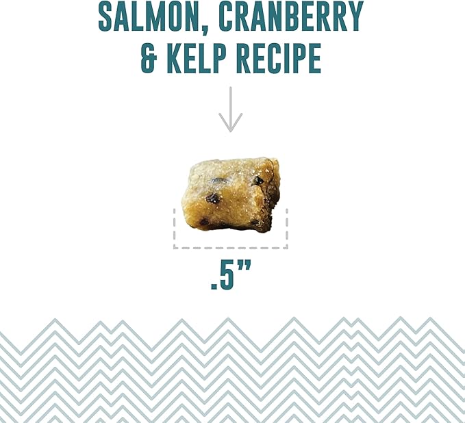 Icelandic+ Soft & Chewy Bites - Salmon, Cranberry & Kelp - 1.8oz Cat Treats, 70% Meat & Fruit, Air-Dried, Limited Ingredients, Pet Snack, Grain Free