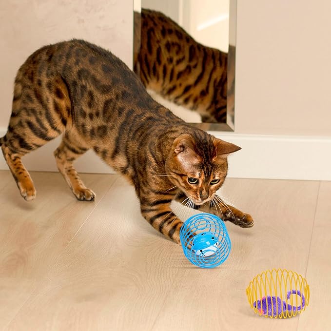 Jecery 5 Pcs Cat Spring Balls Toys Stretchable Rolling Balls Colorful Playful Coils Interactive Action Toy Caged Rats for Kitten Pet Supplies (Mouse and Bell,Multicolor)