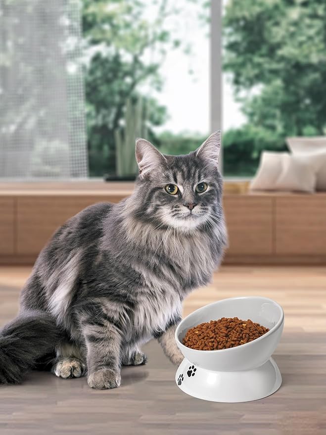 Y YHY Large Raised Cat Food Bowl, 7 Inch Tilted Elevated Bowl, Ceramic Pet Food Bowl for Adult Cats and Medium Dogs, Anti Vomiting, Protects Pet's Spine, Dishwasher Safe