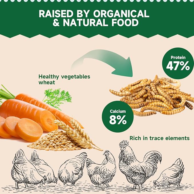 Black Soldier Fly Larvae Worms for Chickens, 10.5LB, 100% Natural Non-GMO BSFL Chicken Food, More Calcium Than Dried Mealworms, High Protein Chicken Treats for Layer Hens, Wild Birds, Ducks
