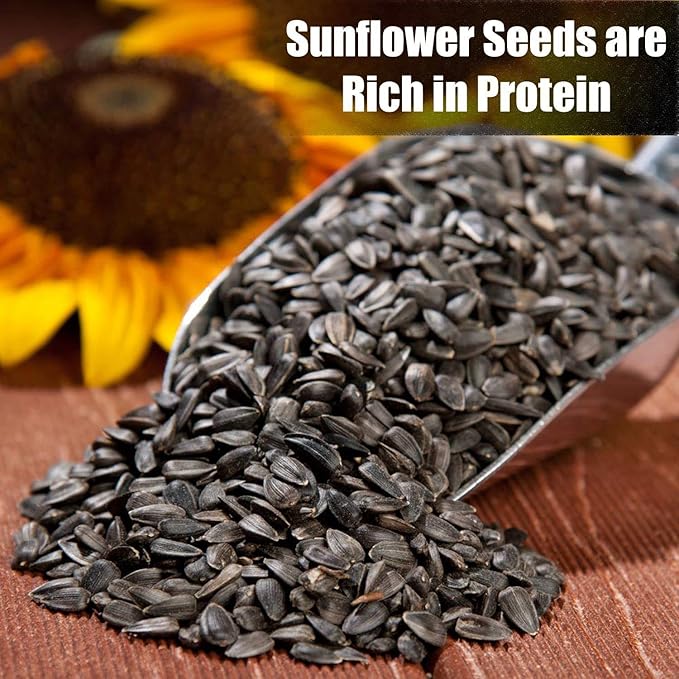 Old Potters Wildlife Black Oil Sunflower Seeds for Birds and Wildlife, Non-GMO & USA Grown on Small Farms (6 lbs)