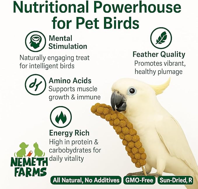 Nemeth Farms 25lbs Premium Spray Millet for Exotic Birds – Grown in The USA – 100% Natural & Non‑GMO Bird Treat – Sun‑Dried Millet for Parakeets, Conures, Cockatiels, Parrots & Budgies