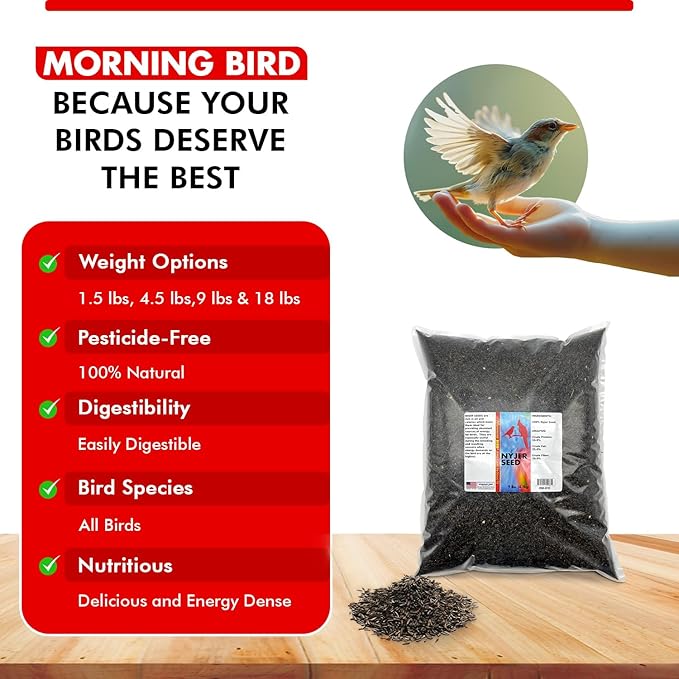 Morning Bird Nyjer Seed for Birds 9 lbs – Energizing Nutrition with Rich Natural and Healthy Fats – Ideal Bird Food for Breeding & Molting – Great for Canaries, and Other Seed-Eating All Birds