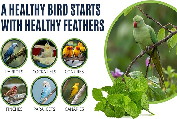 Bird Aloe Vera Spray – Soft Feathers Conditioner & Skin Moisturizer -16 OZ- for Parrots, Cockatiels, Conures & All Birds – Natural Aloe Mist for Molting Relief, Sooths Itchy Dry Skin Feather Plucking