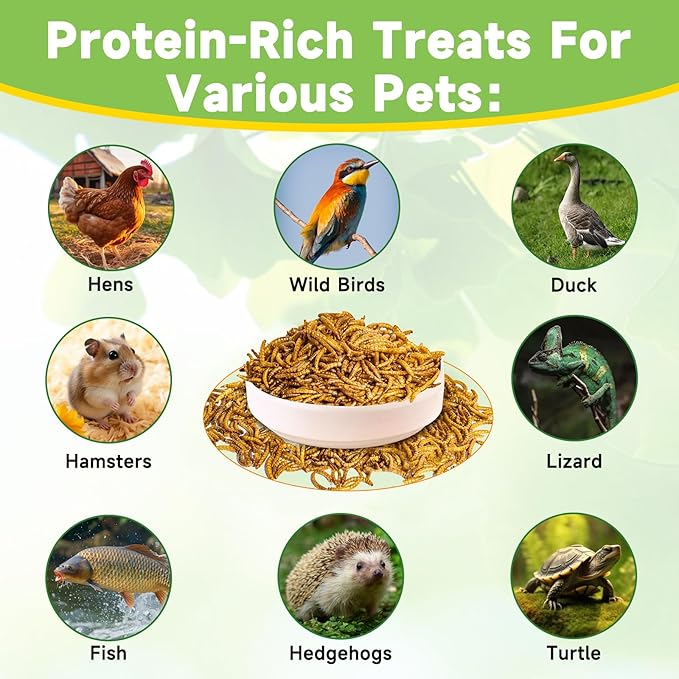 1LB Dried Mealworms Treat for Chicken, 100% Natural Non-GMO High Protein Organic Chicken Feed for Birds, Ducks, Layer Hens