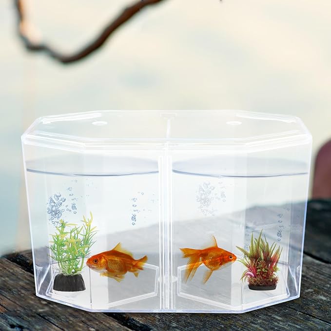 POPETPOP Mini Acrylic Fish Breeding Tank: Transparent Fish Breeding Box with Divider - Small Aquarium for Shrimp