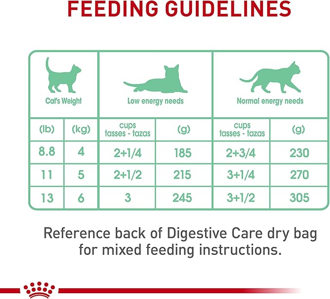 Royal Canin Feline Care Nutrition Digestive Care Adult Thin Slices in Gravy Cat Food, 3 oz (Pack of 6)