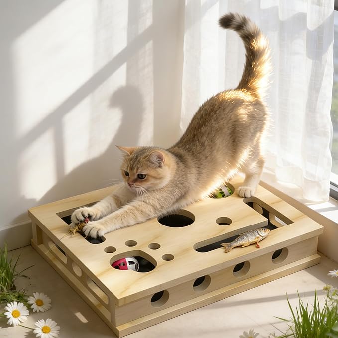 Cat Nail File Enrichment Box, Cat Scratch Puzzle Box with Replaceable Filing Pad, Stress-Free Grooming Toy for Indoor Cats