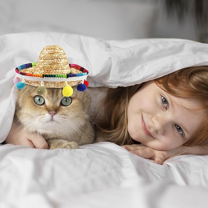Sombrero Cat Hat for Cats Mexican Fiesta, Mini Sombrero Hat for Cat Cinco de Mayo Party Supplies Funny Sombrero Mexican Style Hats Headwear for Small Puppy Cats Costume Cute Sombrero