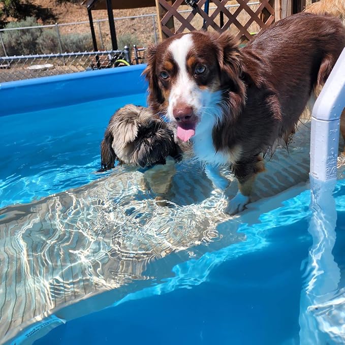 PetStep Dog Ramp for Pools (Long Legs, Graphite/Gray)