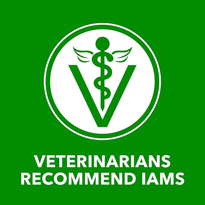 IAMS Proactive Health Wet Dog Food Adult, Canned Dog Food, Beef, Rice, Carrots & Green Beans Chunks in Gravy, 13 oz. Cans (Pack of 12)