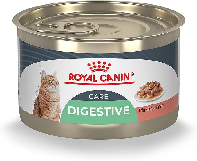 Royal Canin Feline Care Nutrition Digestive Care Adult Thin Slices in Gravy Cat Food, 5.1 oz (Pack of 24)