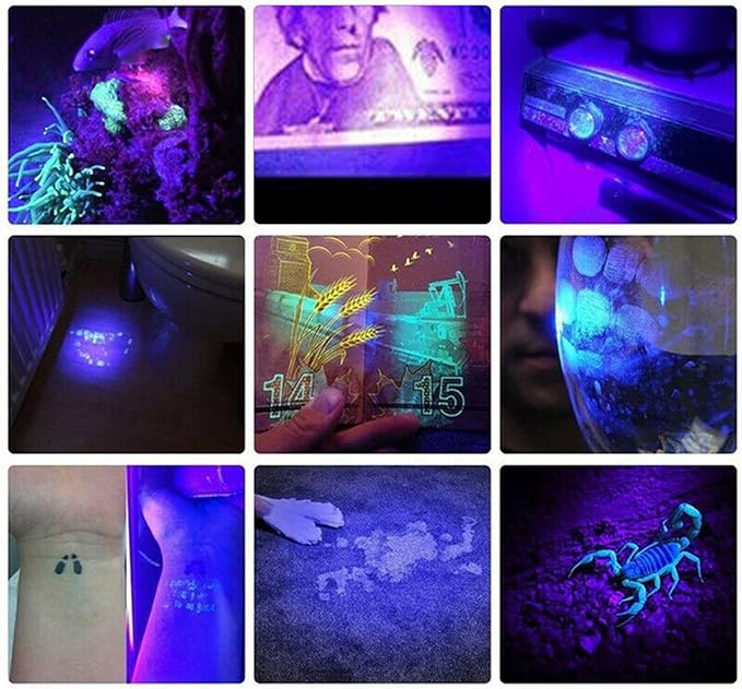 Zerodis 395nm Flashlight High Brightness Detection for Pet Urine, Fluorescent Agent, and Currency, Aluminum Alloy