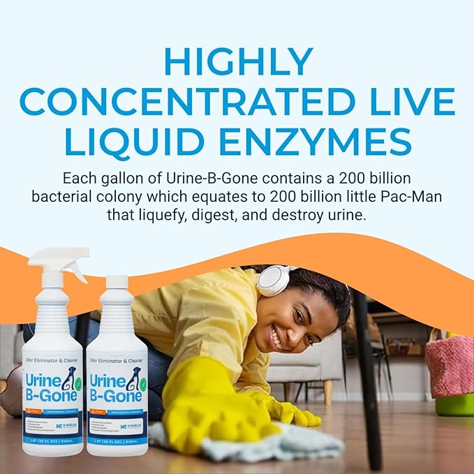 Urine B-Gone, Professional Enzyme Odor Eliminator & Pet Stain Remover, Human, Cat & Dog Urine Cleaner, Effective on Laundry, Carpets & More, Citrus Scent, 32oz, Pack of Two