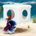 White Floating Betta Hideout with Round Side Holes – 3D Floating Breeding Box & Resting Cave with Window – Feeding Platform, Fish Shelter & Hammock for Betta, Guppies, Nano Tanks & Small Aquariums