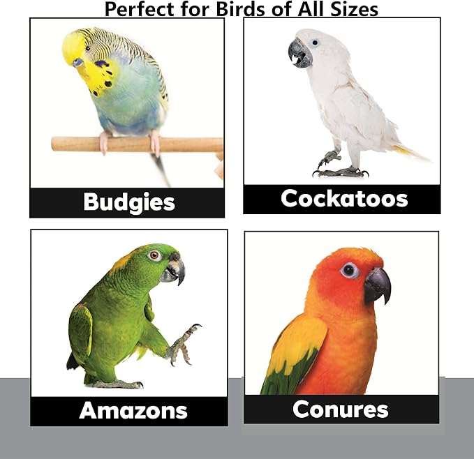 1654 Rainbow Shred Paper - Crinkle Paper Filler & Birdy Nesting Material. Colorful Shredding Toys for Birds, Parrots, Parakeets & Cockatiels. Safe Cage Accessories & Foraging Toys for Pets
