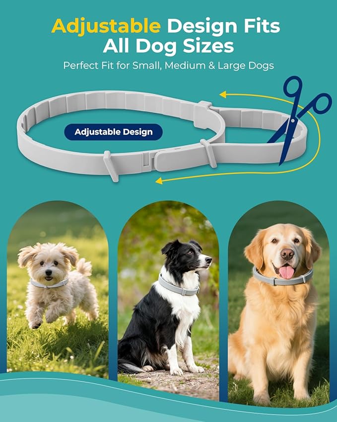 Flea Collar for Dogs, Natural Essential Oil, Waterproof & Adjustable Design, Long-Lasting Protection for Small Dogs & Puppies, Soft Upgraded Material, Grey (4-Pack)