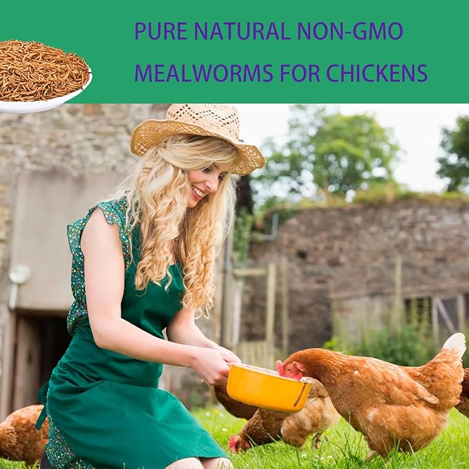 KAYHEN Dried Mealworms for Chickens 10LB Pure Natural Non-GMO High Protein Feed Meal Worms for Laying Hens Wild Birds