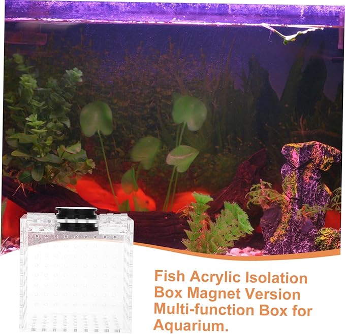 Garneck 1pc Magnetic Fish Isolation Box for Safe Breeding and Separation of Fish Aquariums Easy to Install Hatching Holder Ultra-fine Mesh for Enhanced Survival Rate
