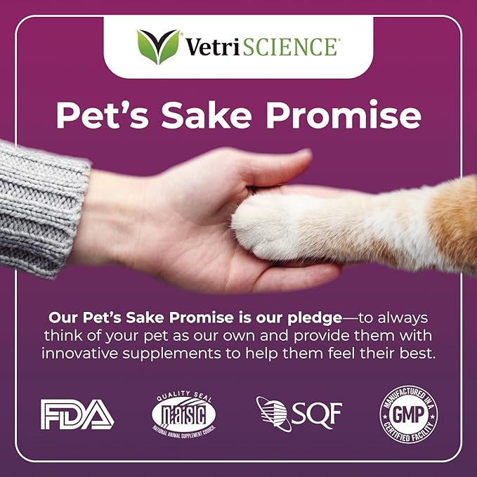 VetriScience Ultimate Strength Lysine Immunity Health Powder for Cats & Kittens, Supplement for Allergy & Nasal Support, Sneezing, Runny Nose & Watery Eyes, Chicken & Cheese Flavor, 60 Count -New Look