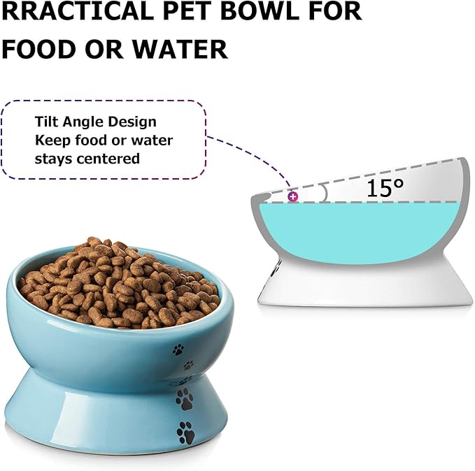 Y YHY Ceramic 15 Ounce Slanted Cat Food Water Bowl, Lake Blue