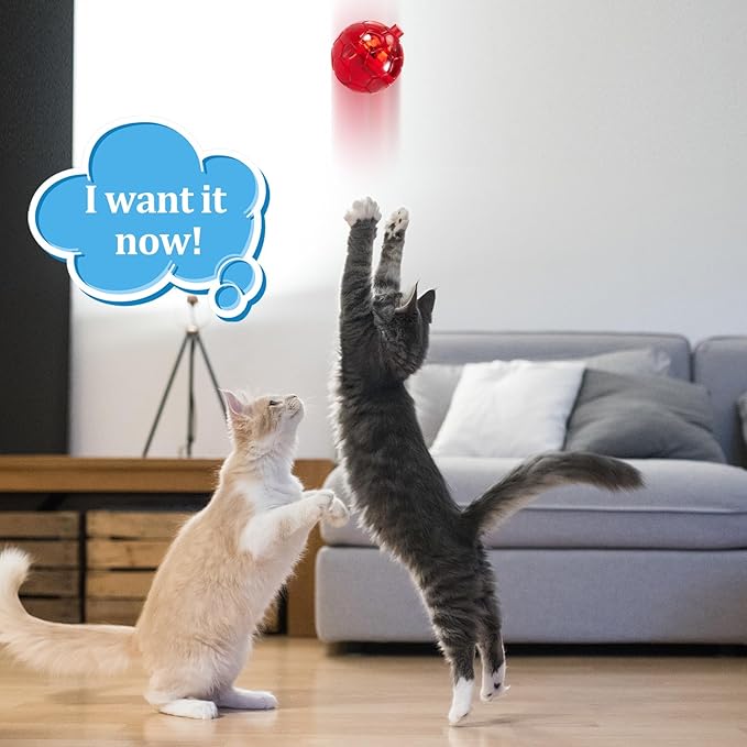 Sratte 6 Pieces Ghost Hunting Cat Ball Activated Cat Toy Motion LED Light Pet Balls Motion Dog Interactive Pet Toys Glowing Mini Running Exercise Supplies for Animals Activity (Bright Color)