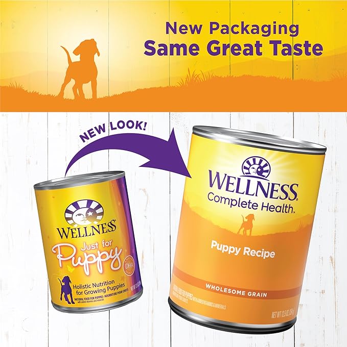 Wellness Complete Health Pate Puppy Canned Wet Dog Food, Wholesome Grains, Natural, Chicken and Salmon Recipe, 12.5 oz, Pack of 12 Cans