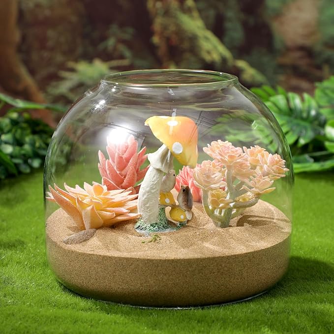 POPETPOP Glass Fish Tank with Cork Lid, Plant Terrarium, Tabletop Succulent Planter Aquarium, Betta Fish Tanks, Hydroponic Plants Terrarium for Home, Office Decor