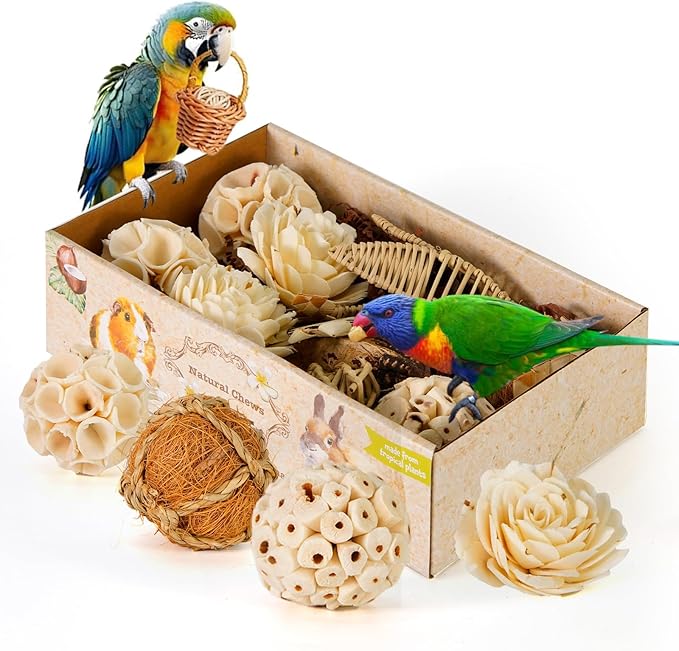 Large Style Bird Toys Box Bird Foraging Shredding Toy Box Parrot Foraging Shredding Toys Box Chewing Toy Birdcage Accessories for Conures Caiques Cockatiel Budgies Parakeet and Small to Medium Birds