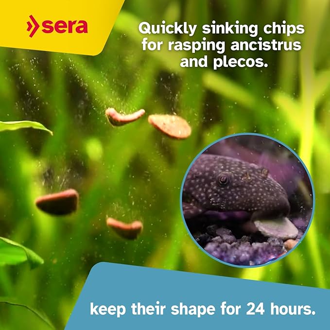 sera Catfish Chips Nature 3.4oz/0.21lbs | Premium Fish Food for Ancistrus & Plecos | High Fiber | No Dyes & Preservatives | Supports Digestion & Promotes Healthy Growth | Ideal for Bottom Feeders