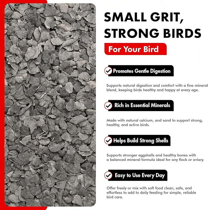 Morning Bird Poultry Grit for Birds 4.5 lbs (3-Pack, 1.5 lbs Each) - Mineral-Rich Supplement for Digestion & Calcium Support - Natural Poultry Feed Additive and Chicken Grit for Healthy Birds