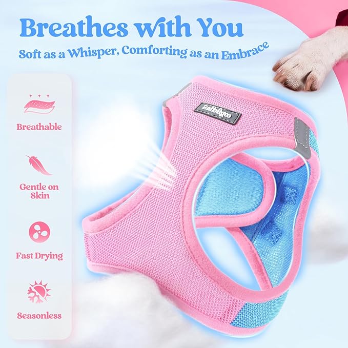 rabbitgoo Dog Harness Medium Sized and Leash Set, Step in Soft Light Puppy Vest, Breathable Mesh Pet Harness, Reflective for Safe Easy Walking, Blue & Light Pink XXL