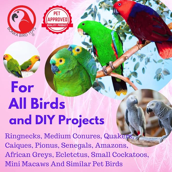 Bonka Bird Toys 3410 Pk6 Drilled Mahogany Pods Foot Talon Craft Part Parrot Toys, Amazon, African Greys, Eclectus, and Similar Breeds