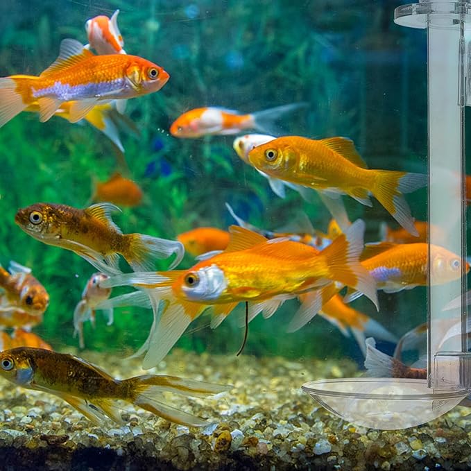 Acrylic Fish Feeder Tube with Suction Mount, 15cm Shrimp and Aquarium Feeding Tool Kit with Cleaning Brush for Fish Tank Vacation Feeding