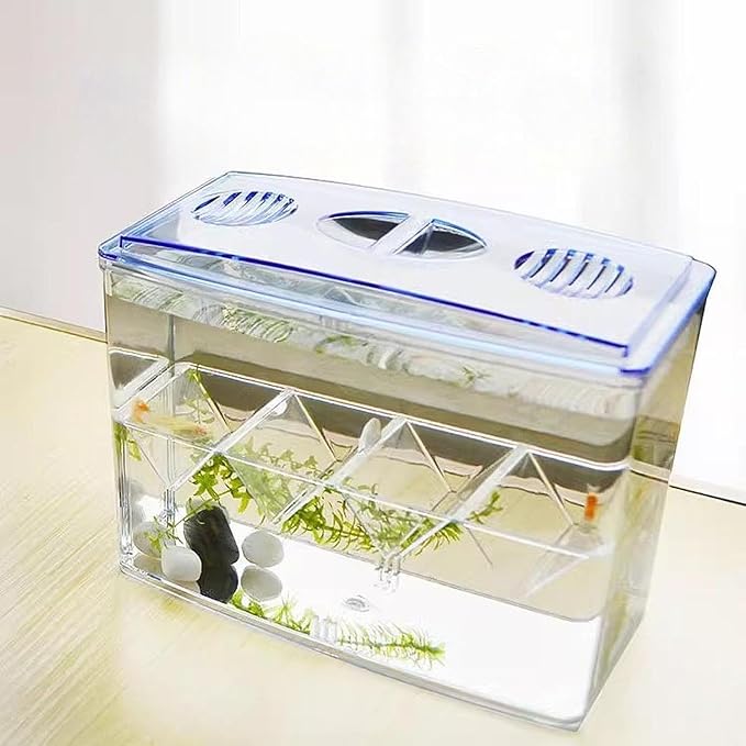 Fish Breeding Box Fish Isolation Box Separation Easy Use Multipurpose Fish Tank Hatchery Incubations Box for Shrimp Baby Fish