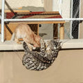 Balcony Screen for Pets,Cat Netting Balcony,Anti-Fall Pet Mesh Fence,Bite Tear Resistant,Dogs&Cat Safety Net for Balcony, Window, Stair, Patio,Anti Bird Netting for Garden/Balcony (10*26 ft)