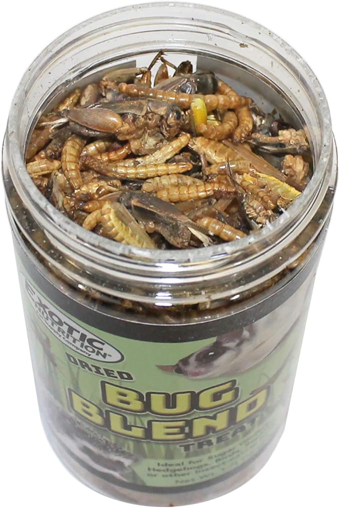 Bug Blend - Healthy High-Protein Dried Insect Treat - Crickets, Mealworms, Grasshoppers - Sugar Gliders, Hedgehogs, Squirrels, Chickens, Skunks, Opossums, Marmosets, Parrots, Birds (1.71 oz.)