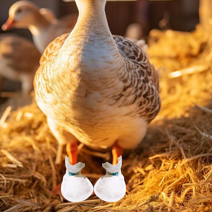 Disposable Boots for Real Duck Feet, Bumble Foot for Duck Supplies with Bandage, Large Size (Blue, 20 PCS)