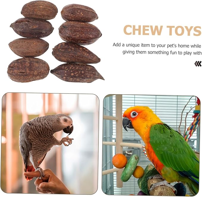 8pcs Dried Fruit Bird Toys for Parrots Foraging Chewing Toys for Birds Parrot Accessories Natural Shredding Treats
