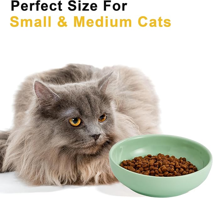 Howise 5.3 in Ceramic Cat Bowls Set, Shallow Food Bowl for Small Pets, Dish for Food and Water, Green