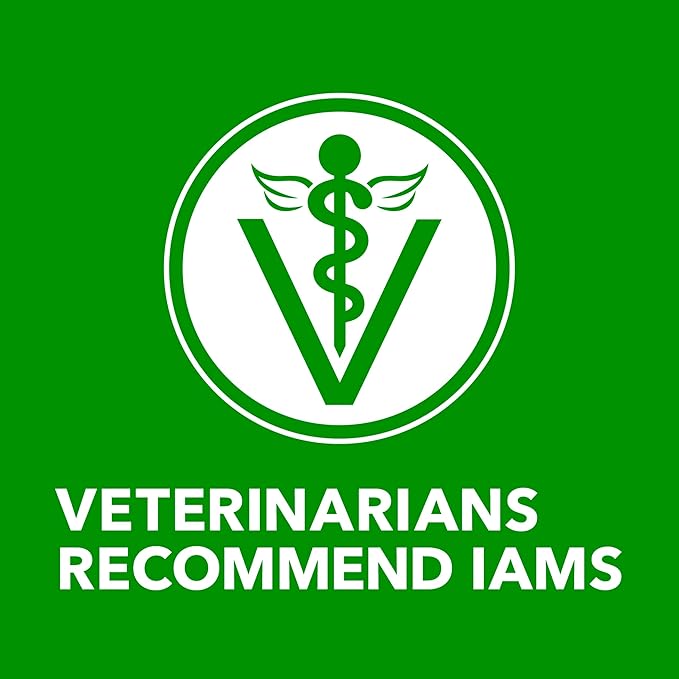 IAMS Proactive Health Wet Dog Food, Adult Wet Dog Food Multipack Ground Dinner, Lamb & Rice, 13 oz. Cans (Pack of 12)